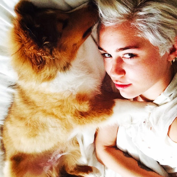 Miley Cyrus Miley Cyrus
